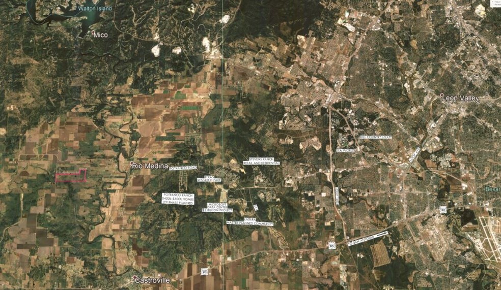 Owl Image